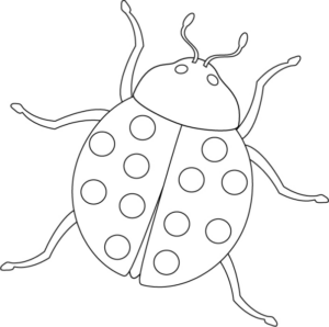 Disegno di coccinella da stampare e colorare 11