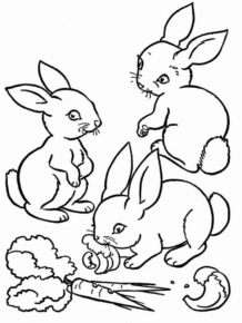 Disegno di coniglio da stampare e colorare 140