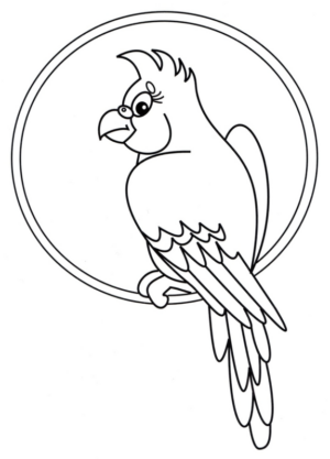 Disegno di pappagallo da stampare e colorare 106