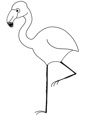 Disegno di fenicottero da stampare e colorare 39