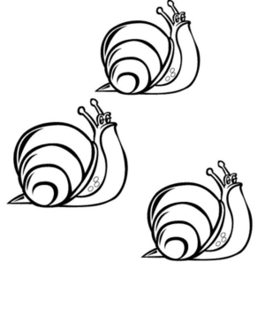 Disegno di lumaca da stampare e colorare 15