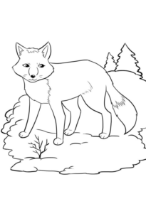 Disegno di volpe da stampare e colorare 89
