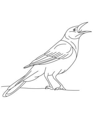 Disegno di passero da stampare e colorare 90
