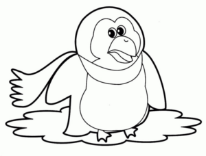 Disegno di pinguino da stampare e colorare 19
