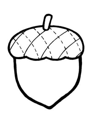 Disegno di ghianda da stampare e colorare 5
