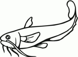 Disegno di pesce da stampare e colorare 307