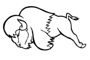 Disegno di bisonte da stampare e colorare 3