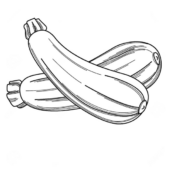 Disegni di Zucchine da colorare