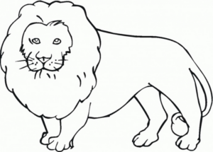 Disegno di leone da stampare e colorare 87