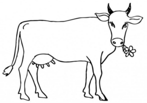 Disegno di mucca da stampare e colorare 23