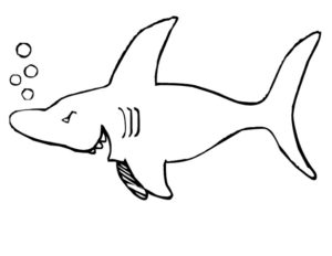 Disegno di squalo da stampare e colorare 34