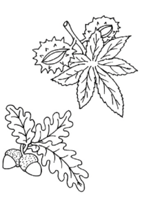 Disegno di foglia da stampare e colorare 114