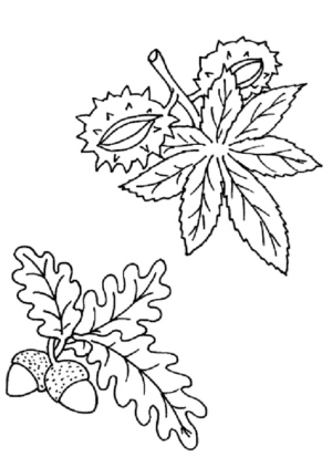 Disegno di foglia da stampare e colorare 114