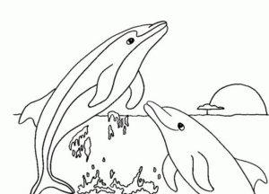Disegno di delfino da stampare e colorare 14