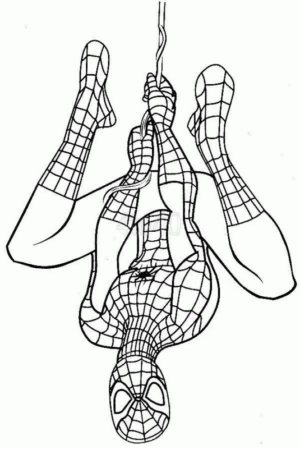 Disegno di Spiderman da stampare e colorare 162