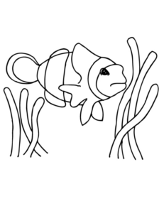 Disegno di pesce da stampare e colorare 229