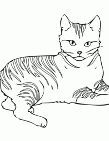 Disegno di gatto da stampare e colorare 183