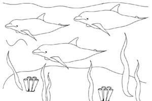 Disegno di delfino da stampare e colorare 36