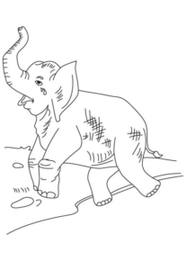 Disegno di elefante da stampare e colorare 136