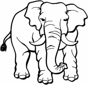 Disegno di elefante da stampare e colorare 25
