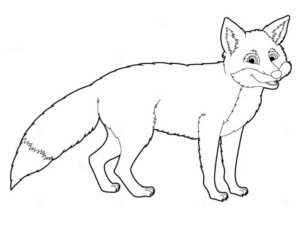 Disegno di volpe da stampare e colorare 70