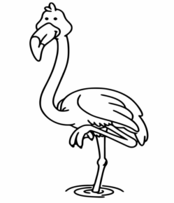 Disegno di fenicottero da stampare e colorare 7