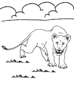 Disegno di leone da stampare e colorare 42