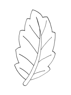 Disegno di foglia da stampare e colorare 128