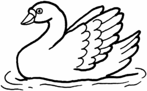 Disegno di cigno da stampare e colorare 8