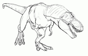Disegno di Tirannosauro da stampare e colorare 88