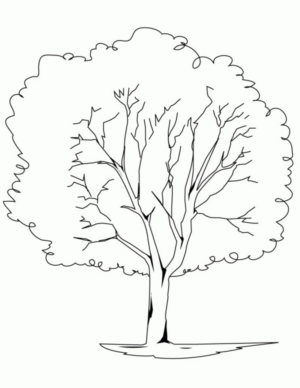 Disegno di albero da stampare e colorare 56
