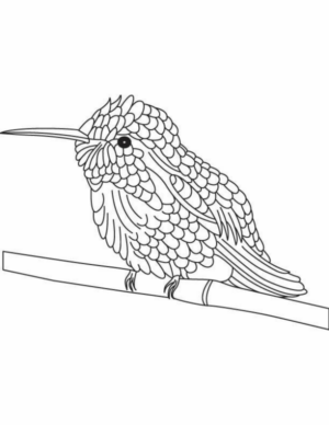 Disegno di passero da stampare e colorare 35