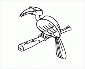 Disegno di tucano da stampare e colorare 3