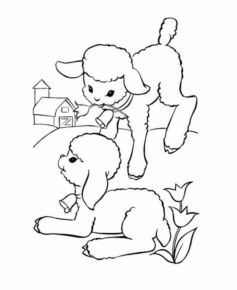 Disegno di pecora da stampare e colorare 13
