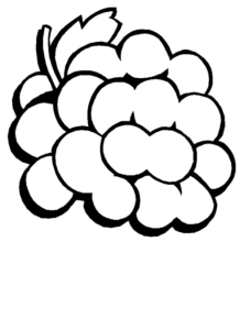 Disegno di uva da stampare e colorare 1