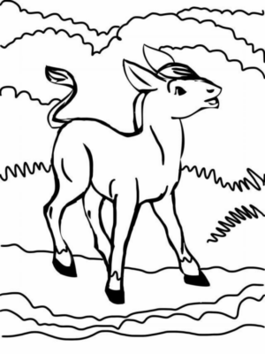 Disegno di asino da stampare e colorare 20