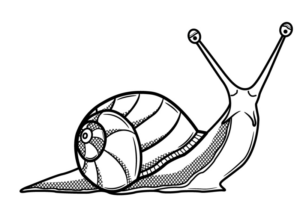 Disegno di lumaca da stampare e colorare 23
