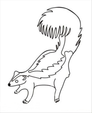 Disegno di puzzola da stampare e colorare 7