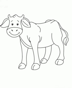 Disegno di mucca da stampare e colorare 98