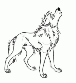Disegno di lupo da stampare e colorare 55