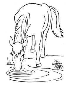 Disegno di cavallo da stampare e colorare 38