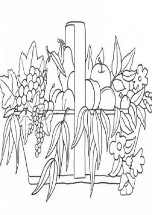 Disegno di cesto di frutta da stampare e colorare 22