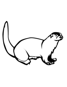 Disegno di lontra da stampare e colorare 10