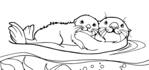Disegno di lontra da stampare e colorare 9