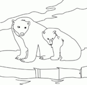 Disegni di Orsi Polari da colorare