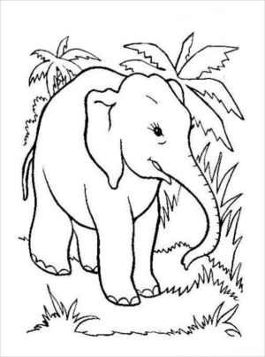 Disegno di elefante da stampare e colorare 16