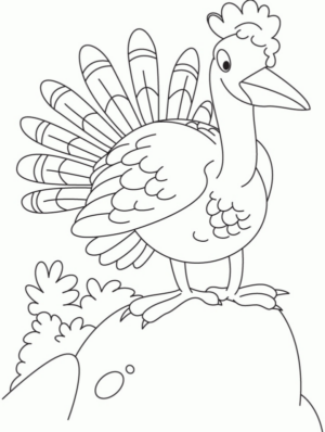 Disegno di tacchino da stampare e colorare 30