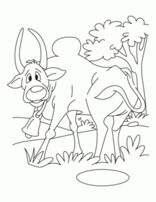 Disegno di toro da stampare e colorare 7