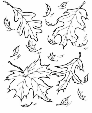 Disegno di foglia da stampare e colorare 40