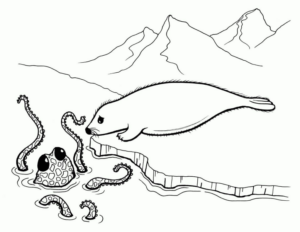 Disegno di foca da stampare e colorare 35